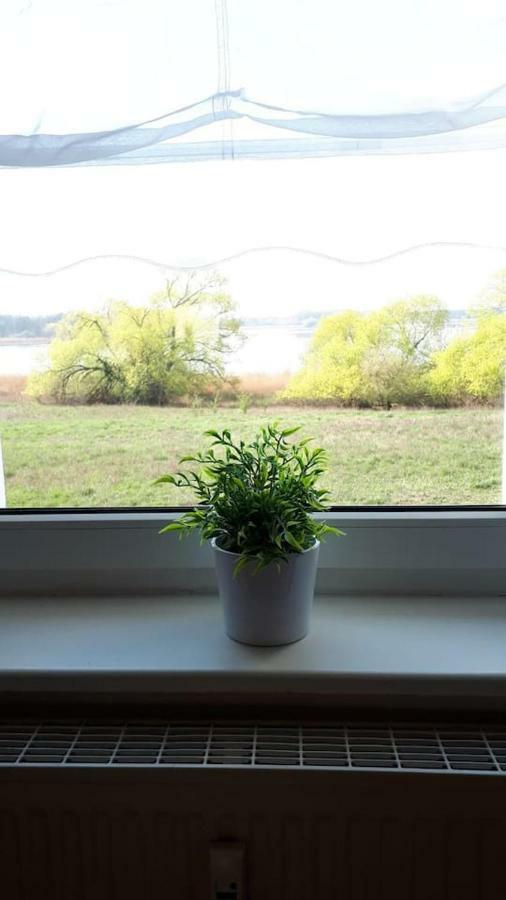 Ferienwohnung Mit Seeblick Бранденбург Екстериор снимка